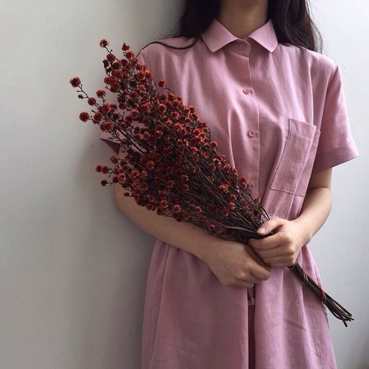 Засушенные полевые цветы