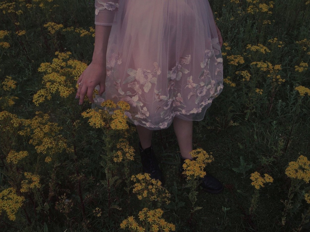 Сорняки на поле