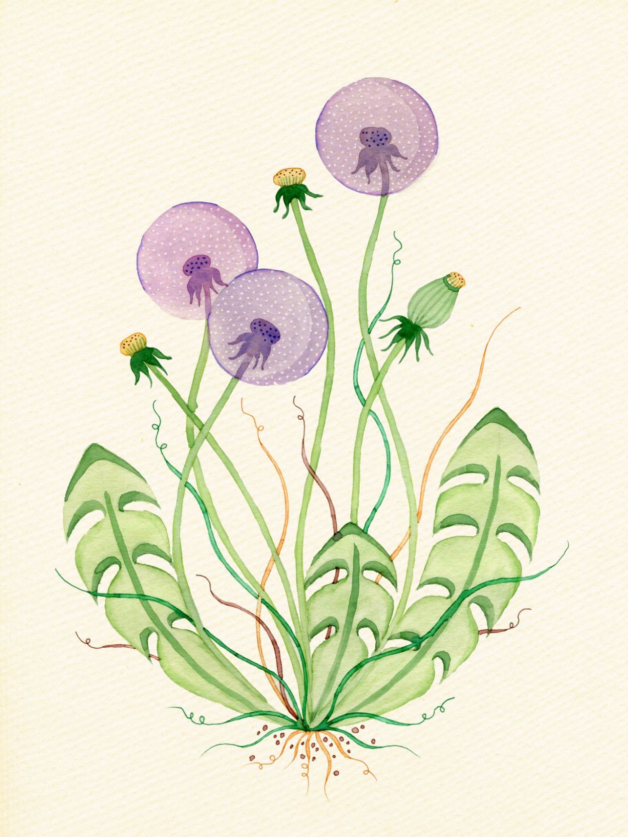 Иллюстрации Луговым. Цветам