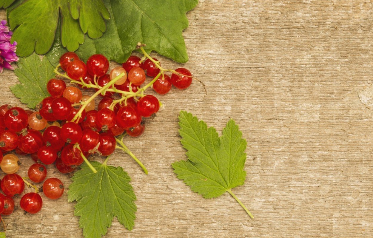 Ягодный микс(голубика, малина, ежевика)