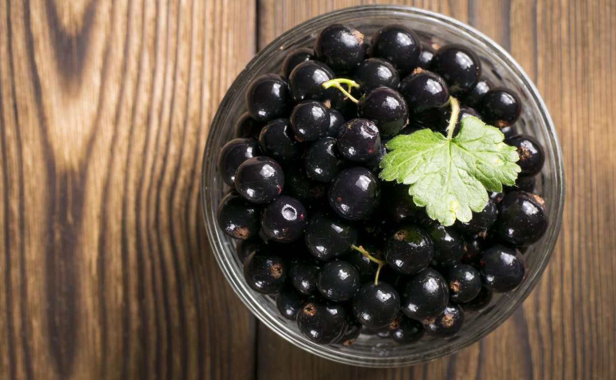 Лесная черная смородина