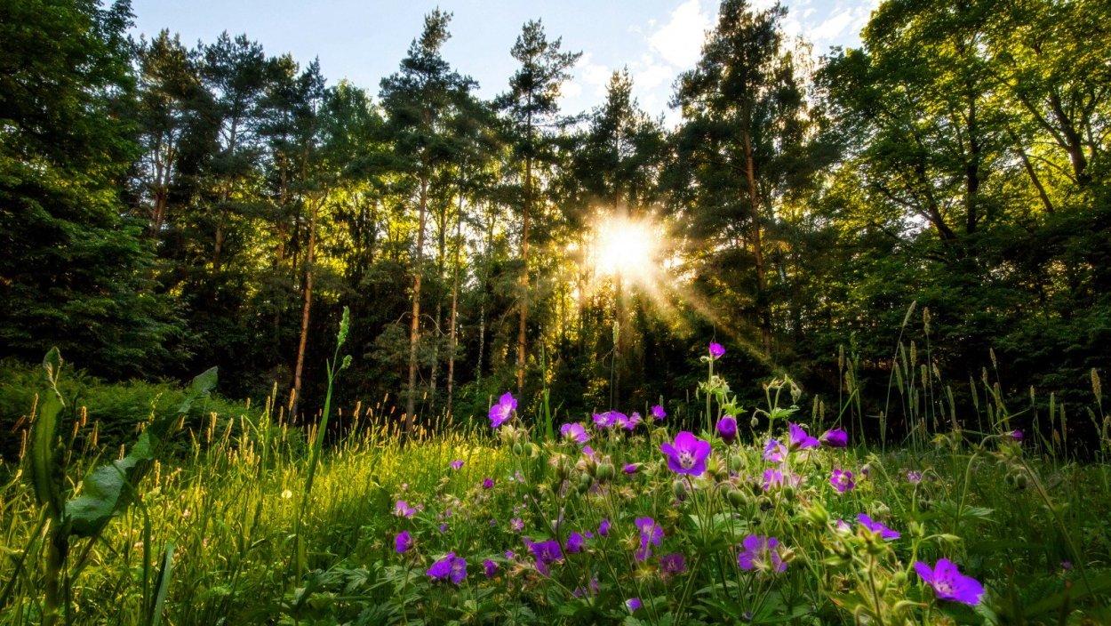 Природа Южного Урала Солнечная Поляна