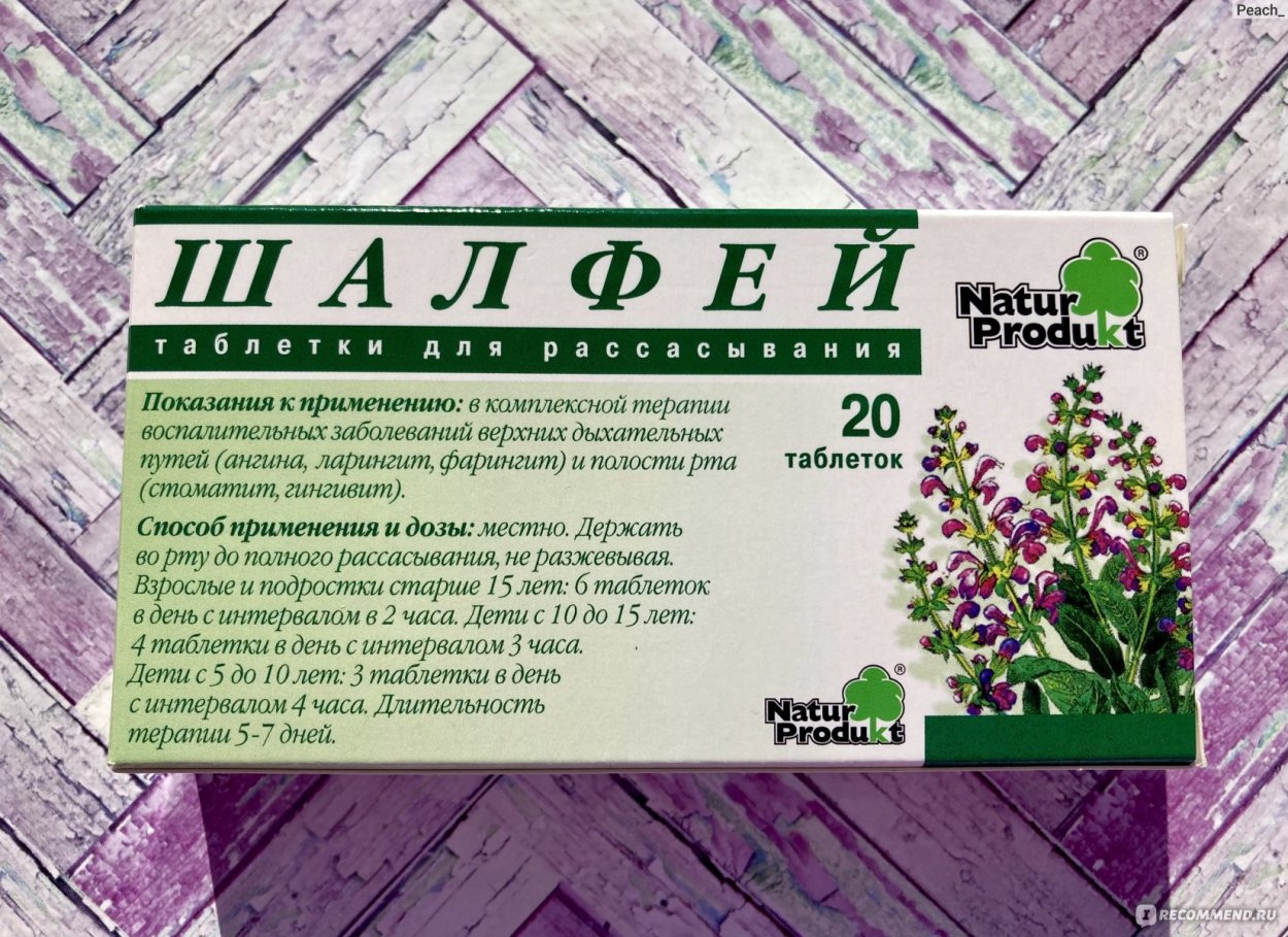 Шалфей Дубравный макро