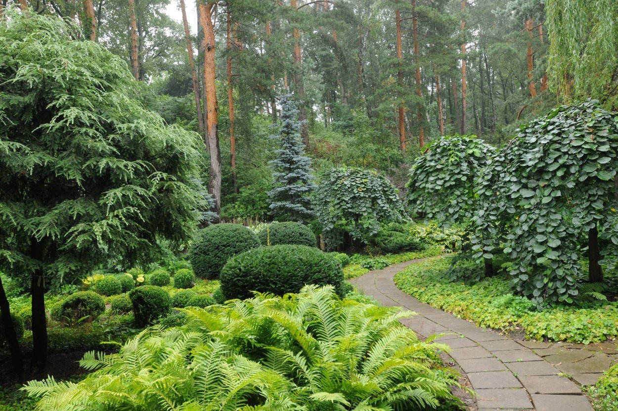 Плодовый сад натургарден