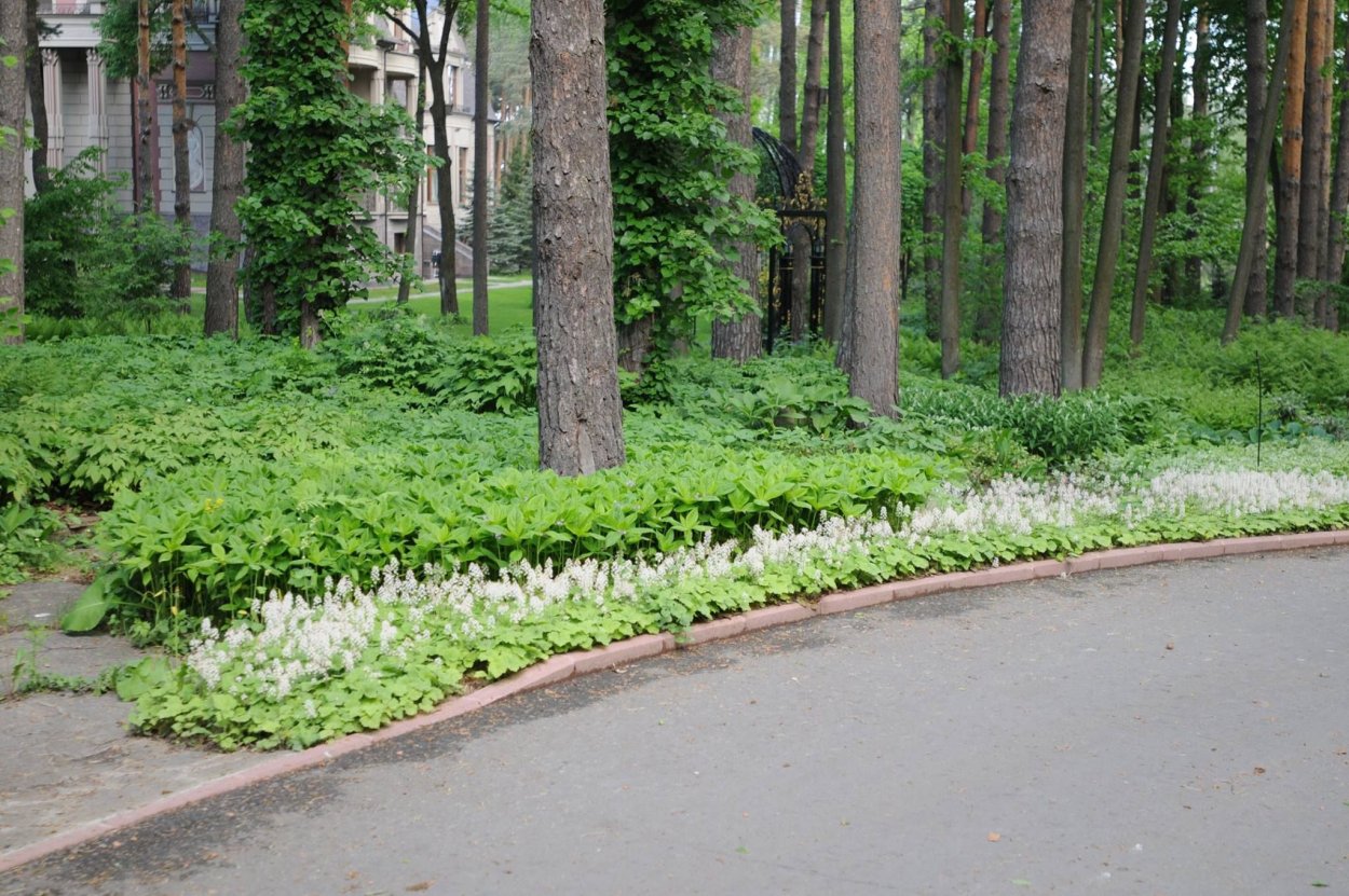 Лесопарковый ландшафт макроландшафт