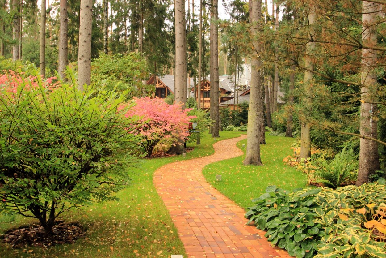 Arcadia Garden Ландшафтная студия