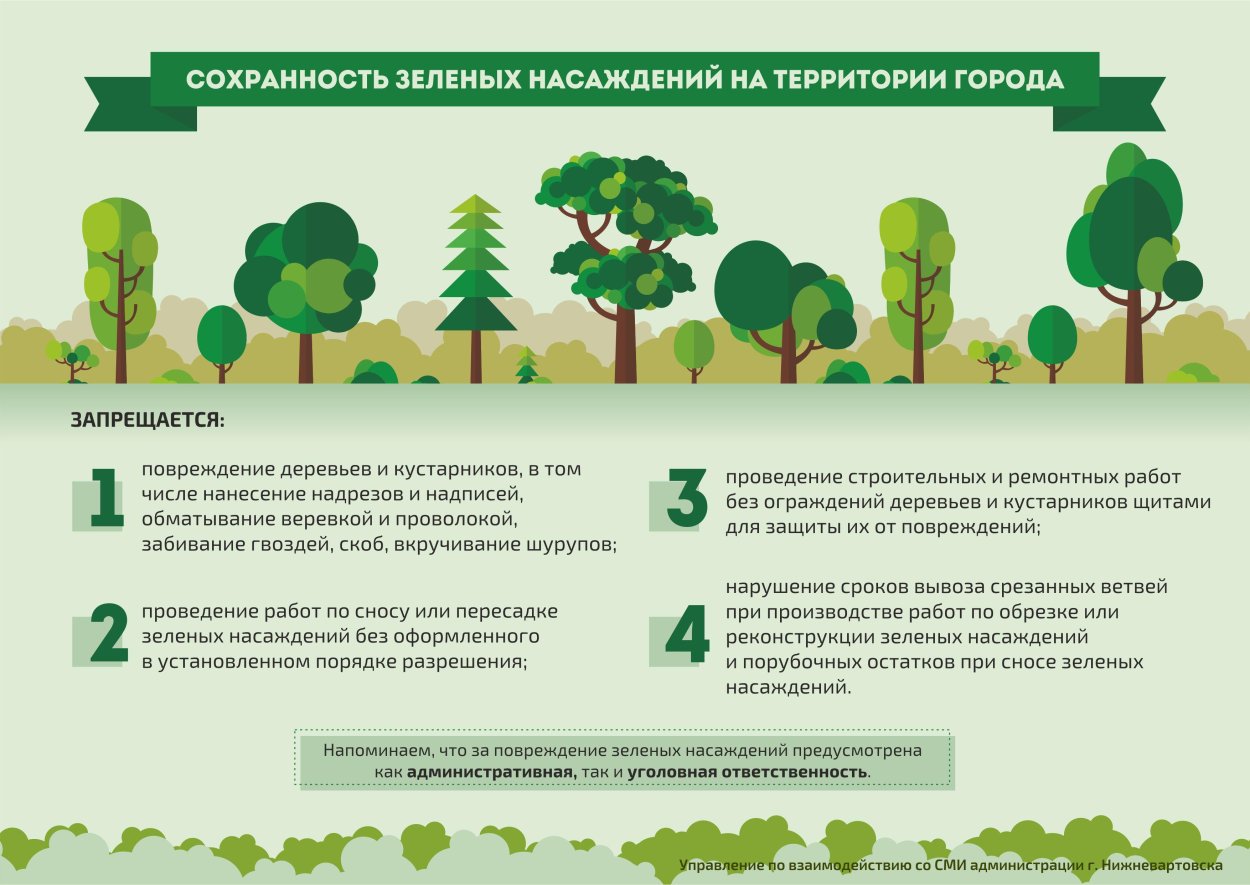 Охрана зеленых насаждений