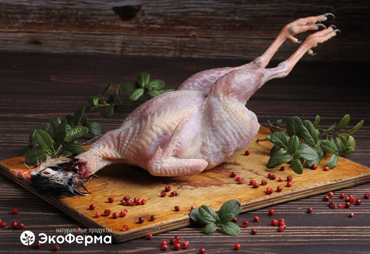 Гуси цесарки