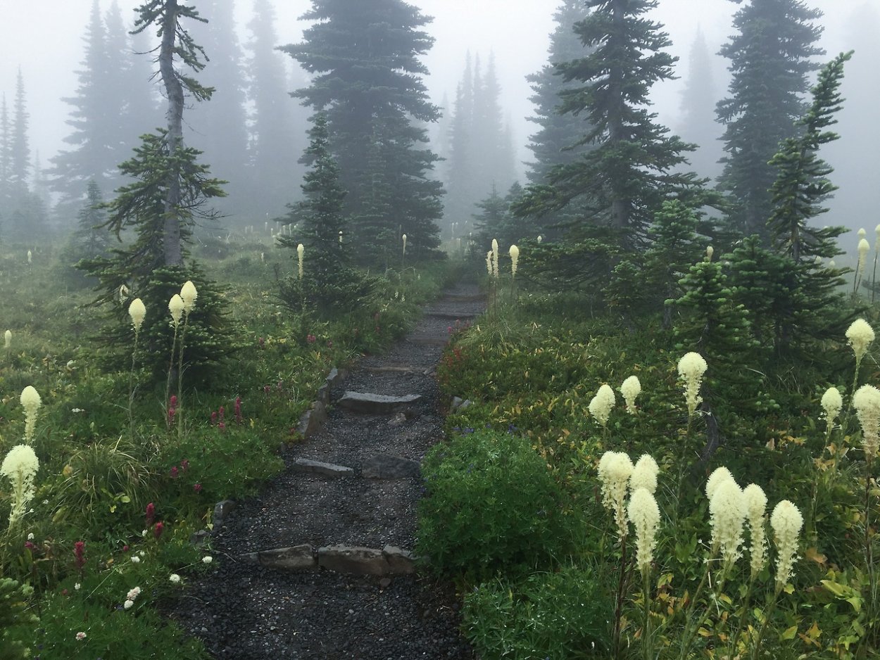 Goblin Core aesthetic