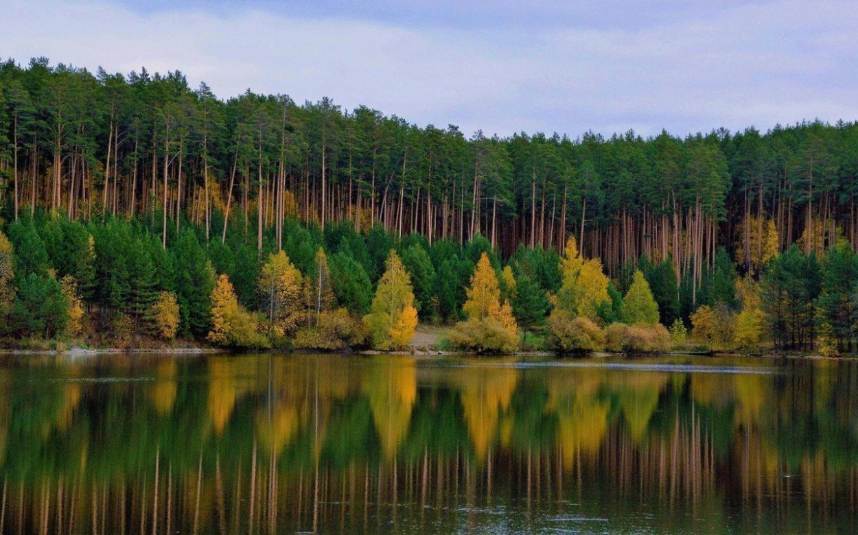 Тайга Южного Урала