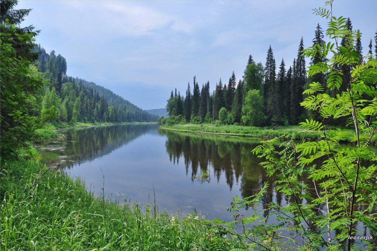 Река Березовая Пермский край