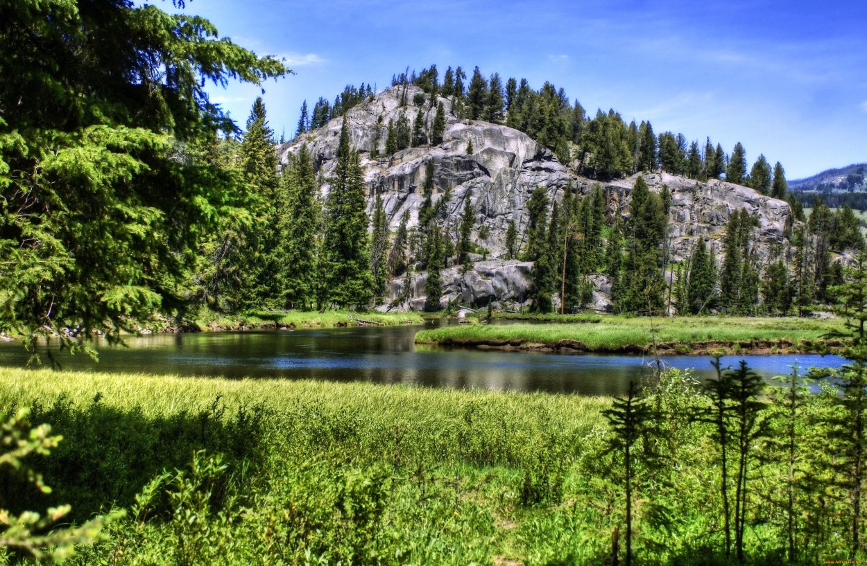 Национальный парк Wilderness