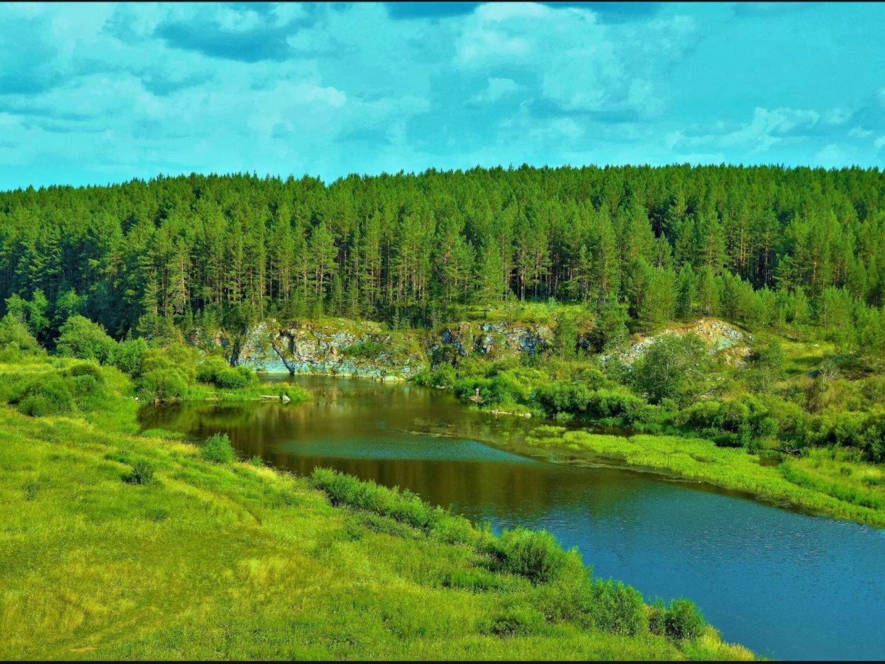 Природа Урала Тайга