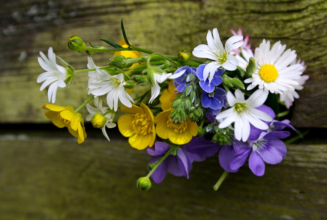 Букет из полевых цветов
