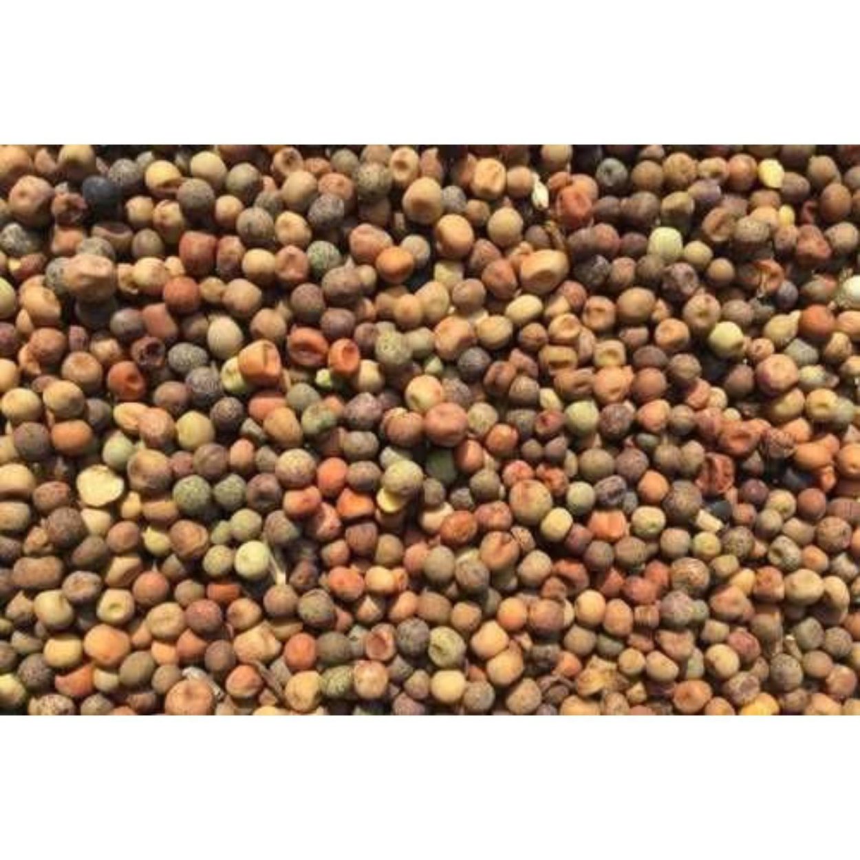 Горох полевой пелюшка семена