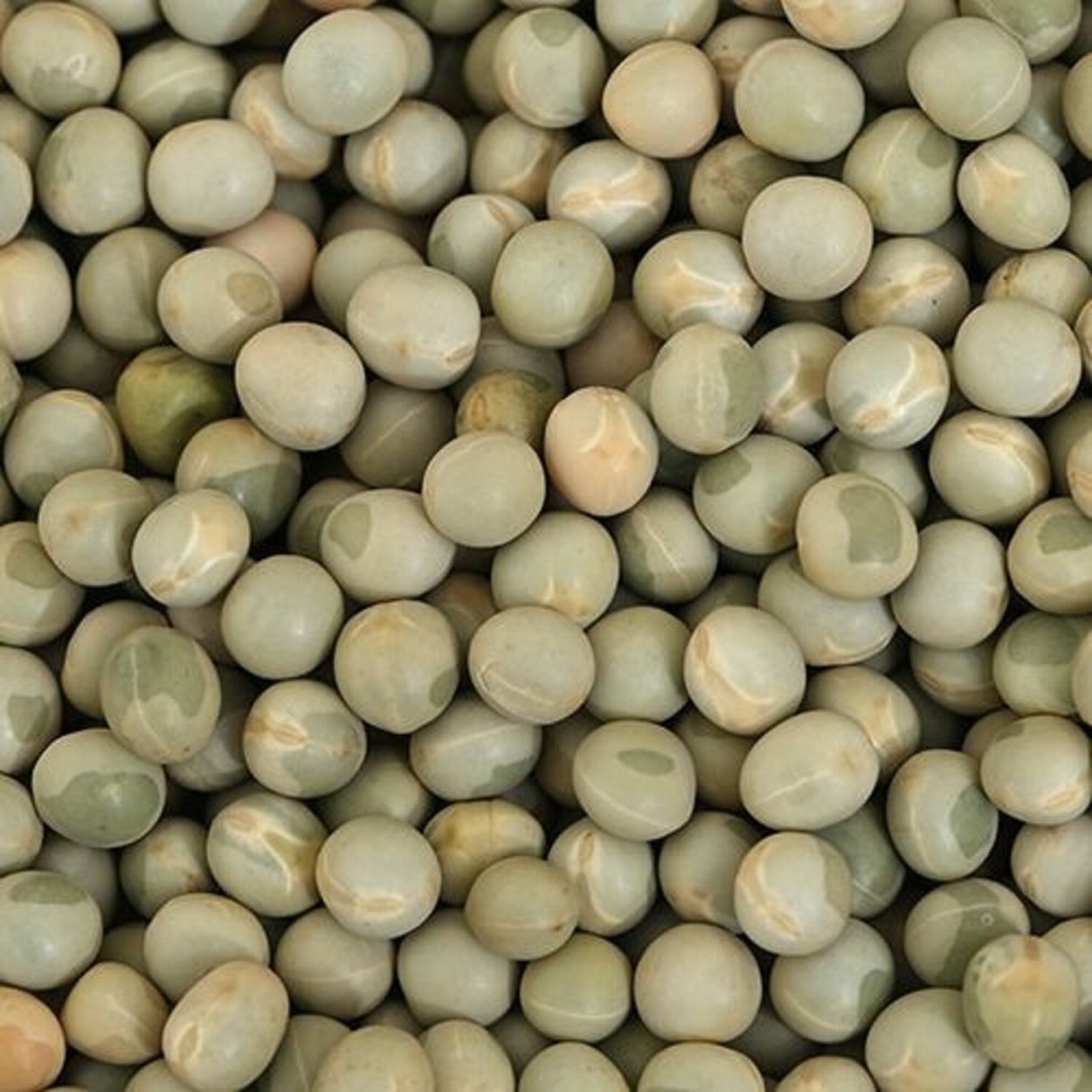 Горох пелюшка стручки