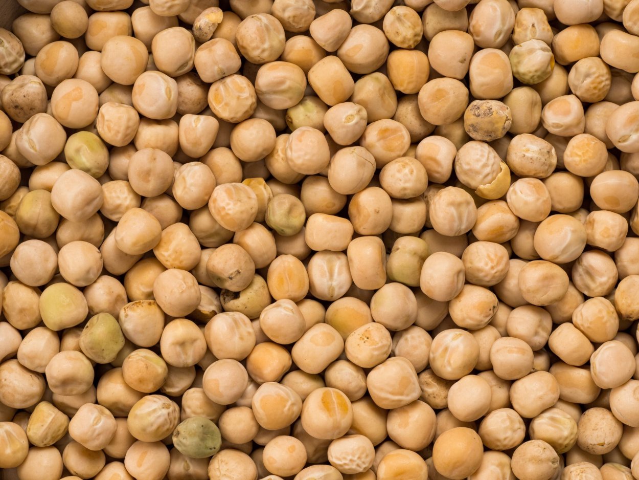 Цветение гороха