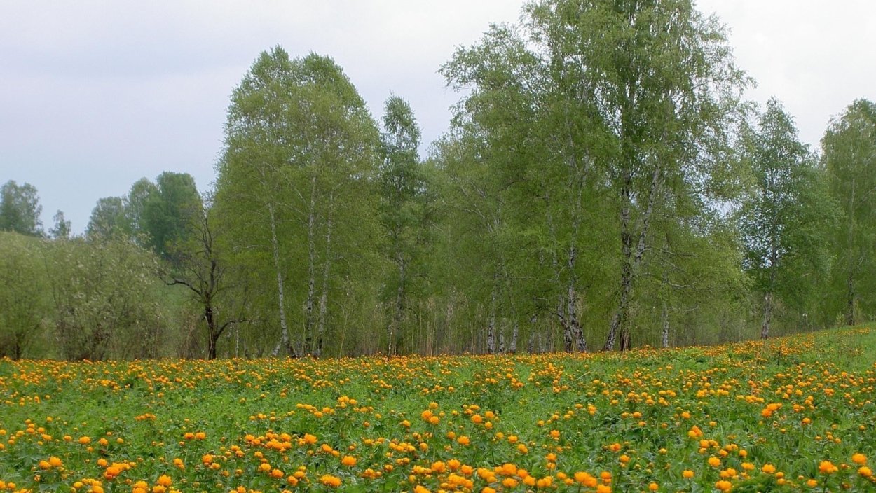Лесная Поляна Удмуртия