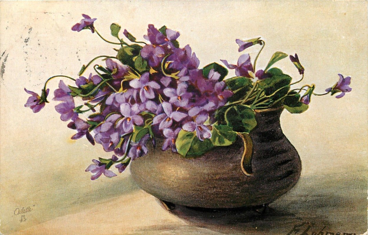 Александр Шилов фиалки