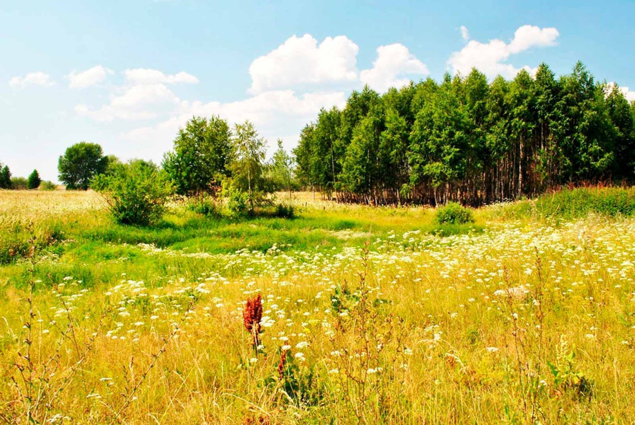 Луга деревни Башкирия