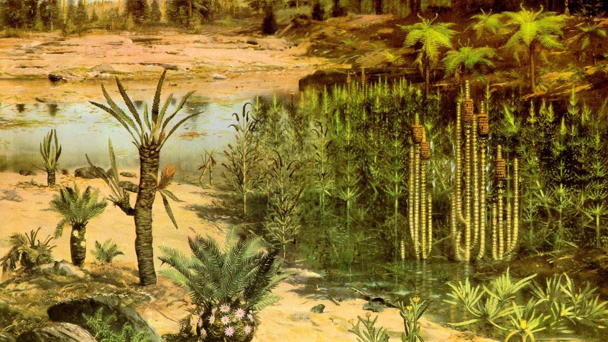 Палеозойская Эра Пермский период Флора