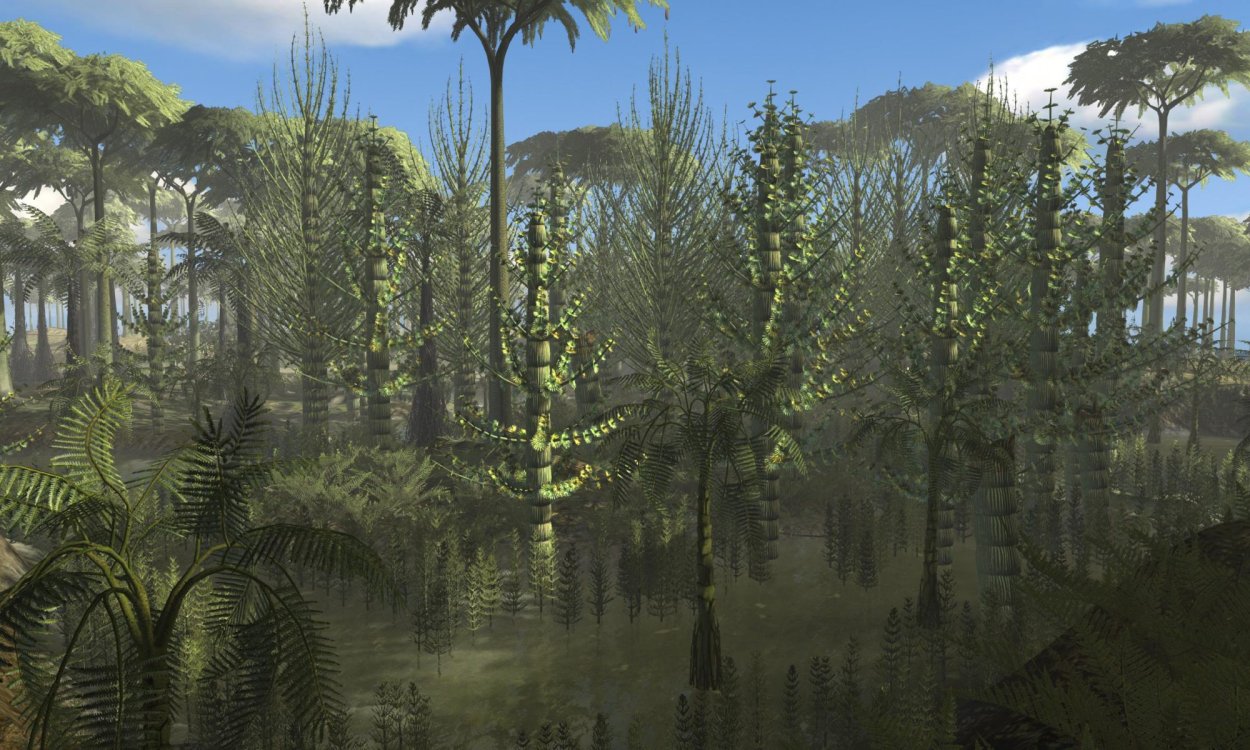 Древовидный папоротник Девон