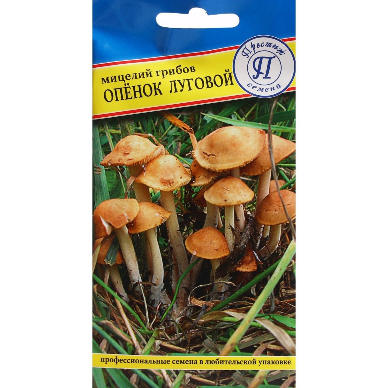 Опенок Луговой семена