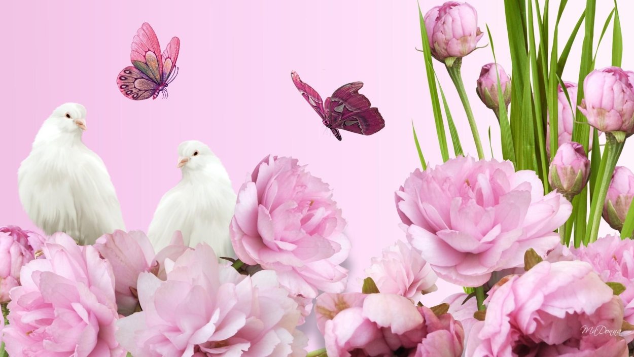 Пиони Пинк (Peony Pink)