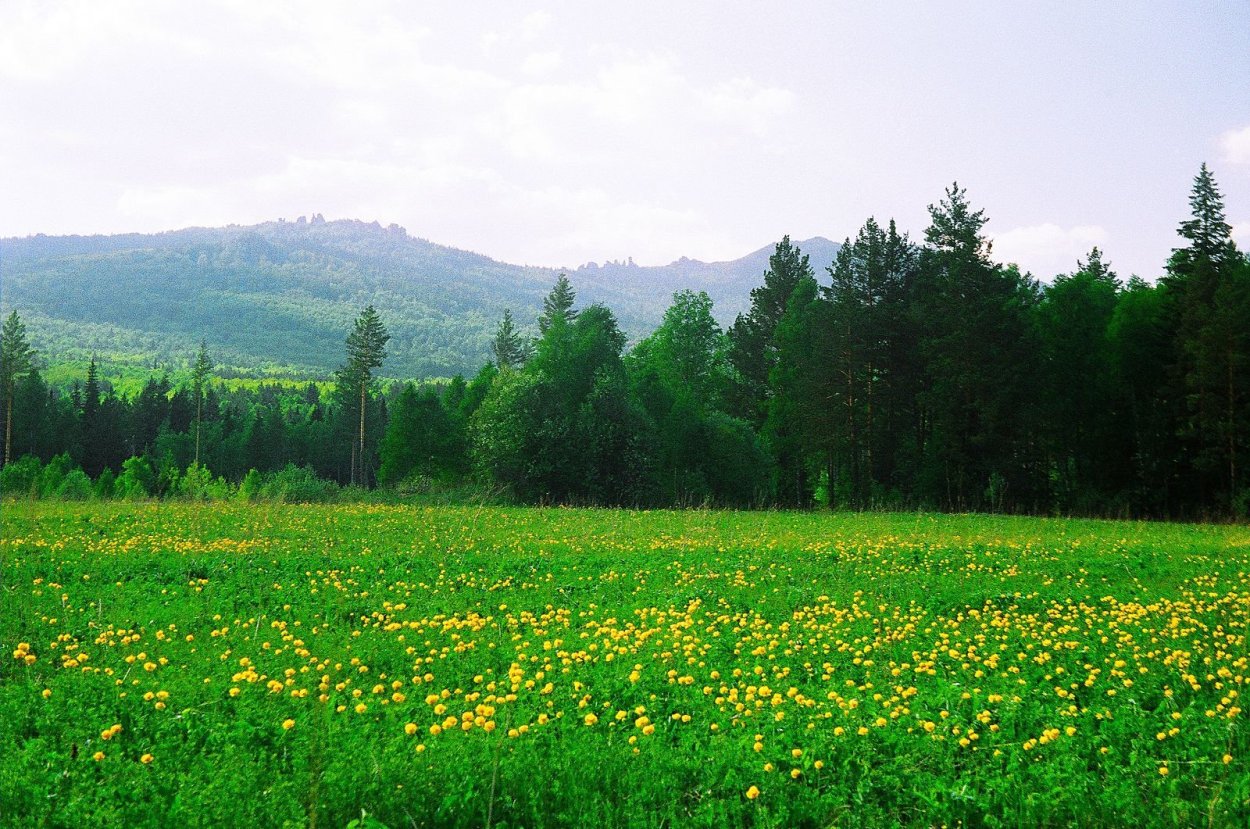 Башкирия природа Луга