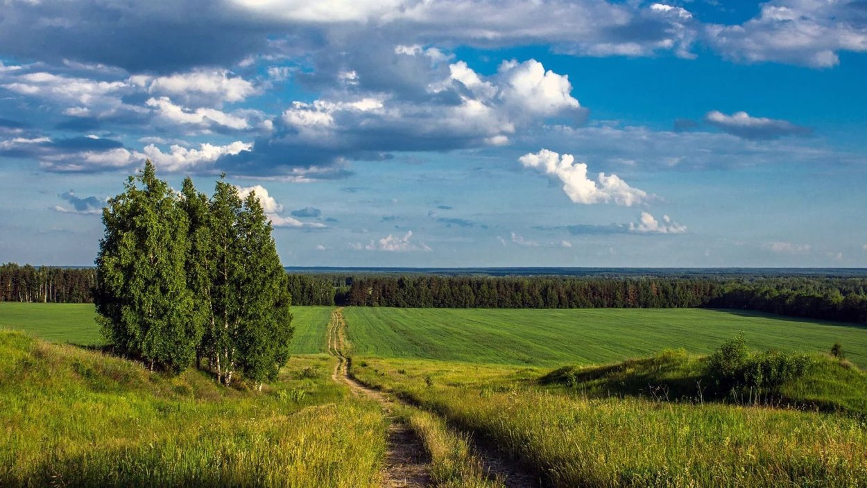 Среднерусская лесостепная провинция
