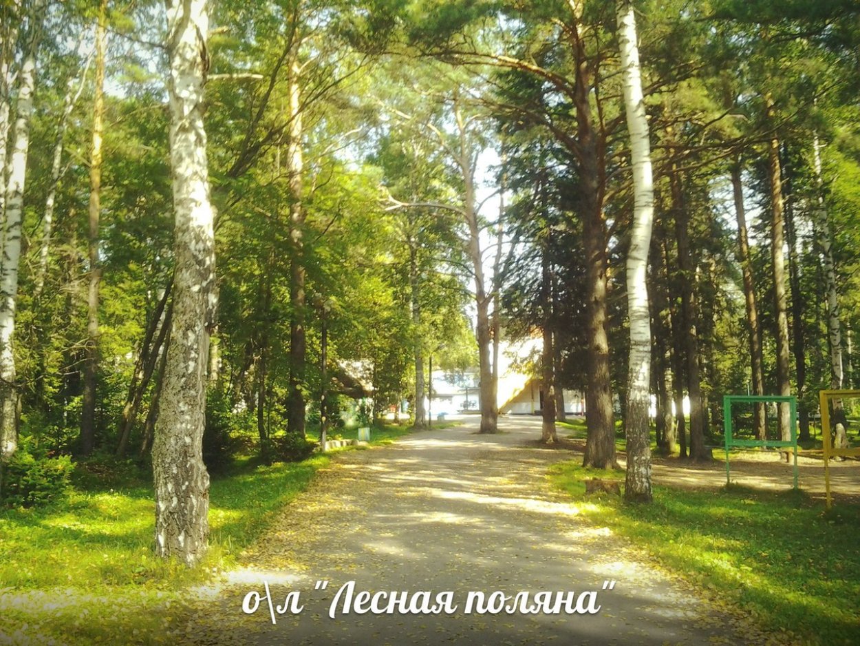 Лагерь Лесная Поляна Киселевск