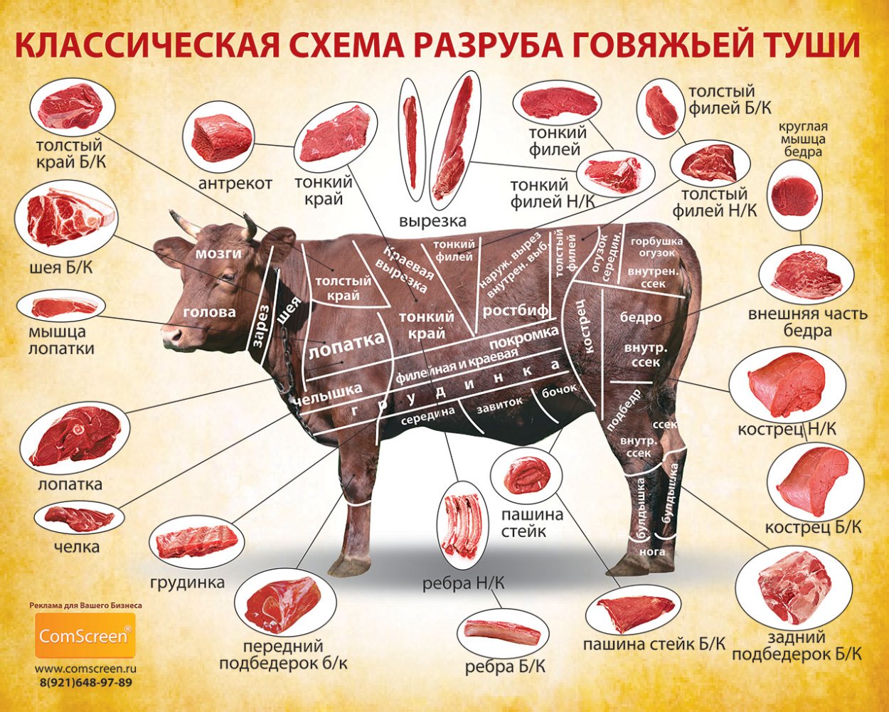 Кострец безостый