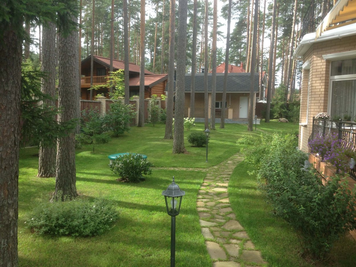 Сосновый Бор Костанай лес