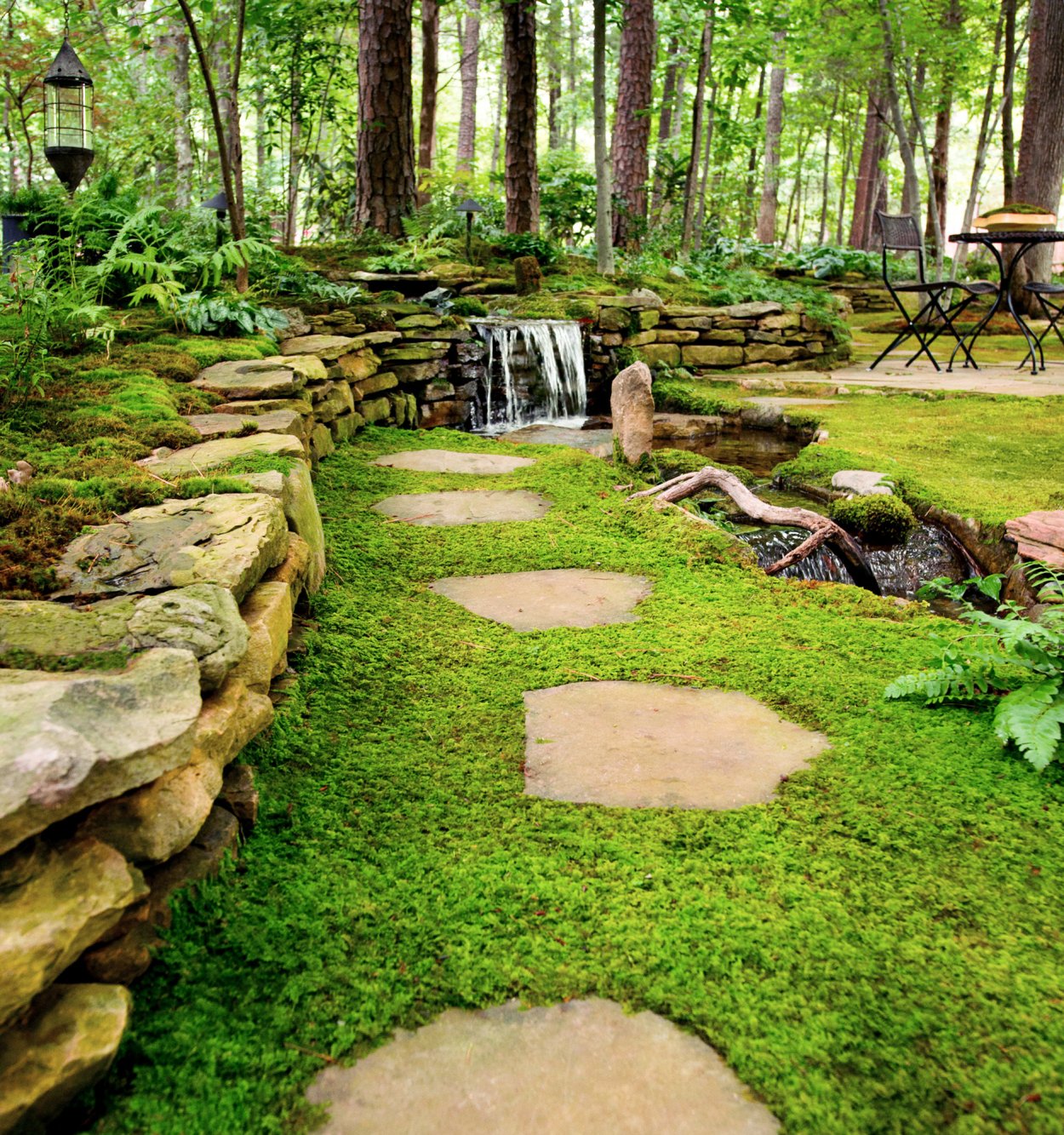 Verholy Relax Park: Лесной курорт в Полтавской области,