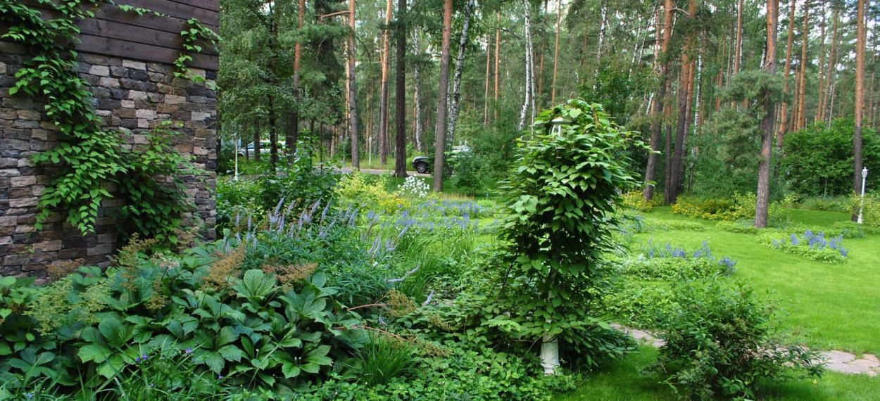 Колесник Владимир Затененный сад