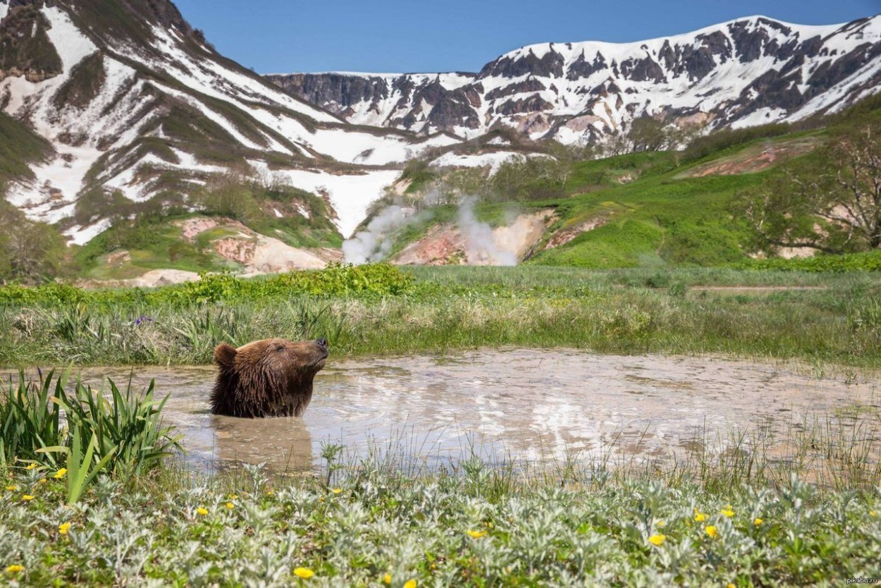 Геннадий Юсин фотограф