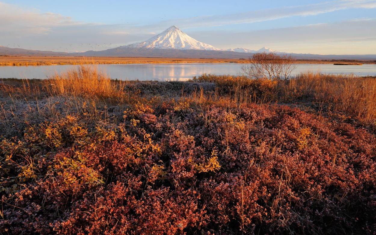 Кроноцкий заповедник Камчатский край
