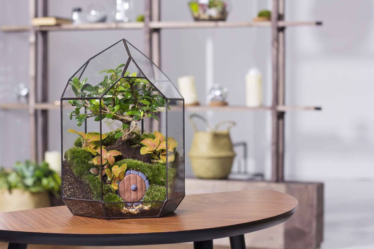 Terrarium Moss террариумный мох