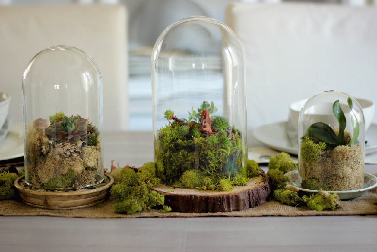 Crystal Forest флорариумы