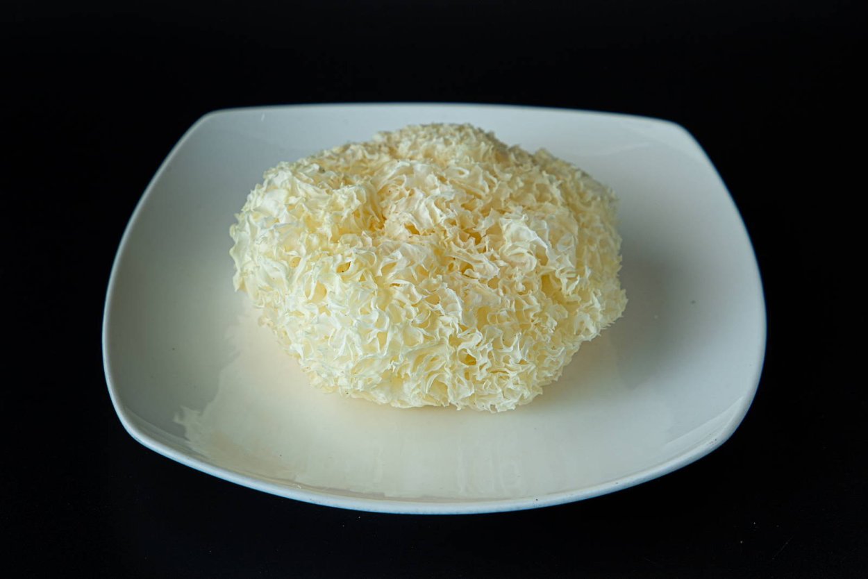 Грибы морские гребешки