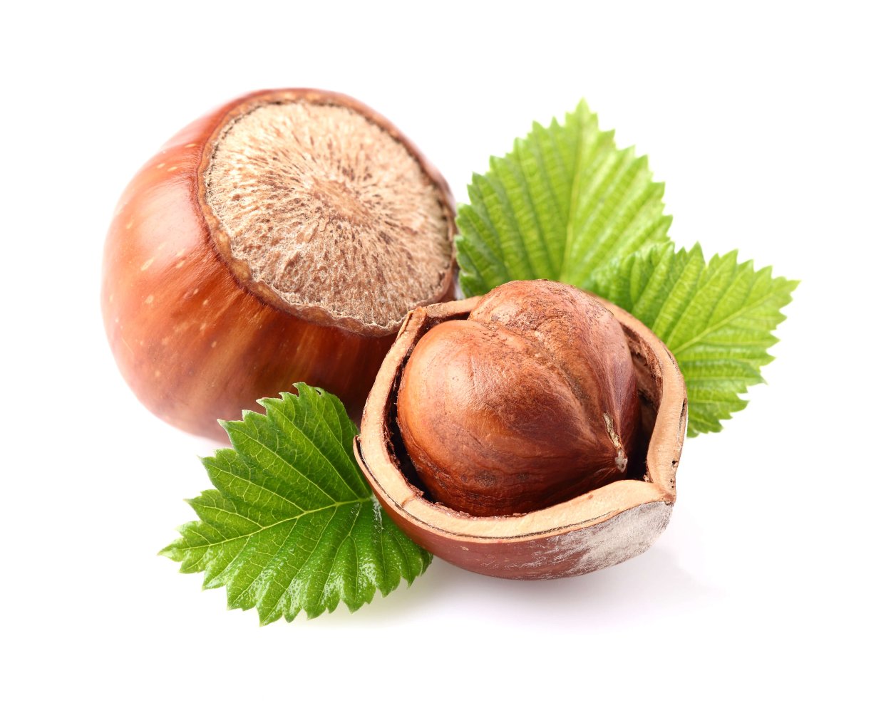 Лесной орех (Hazelnut)