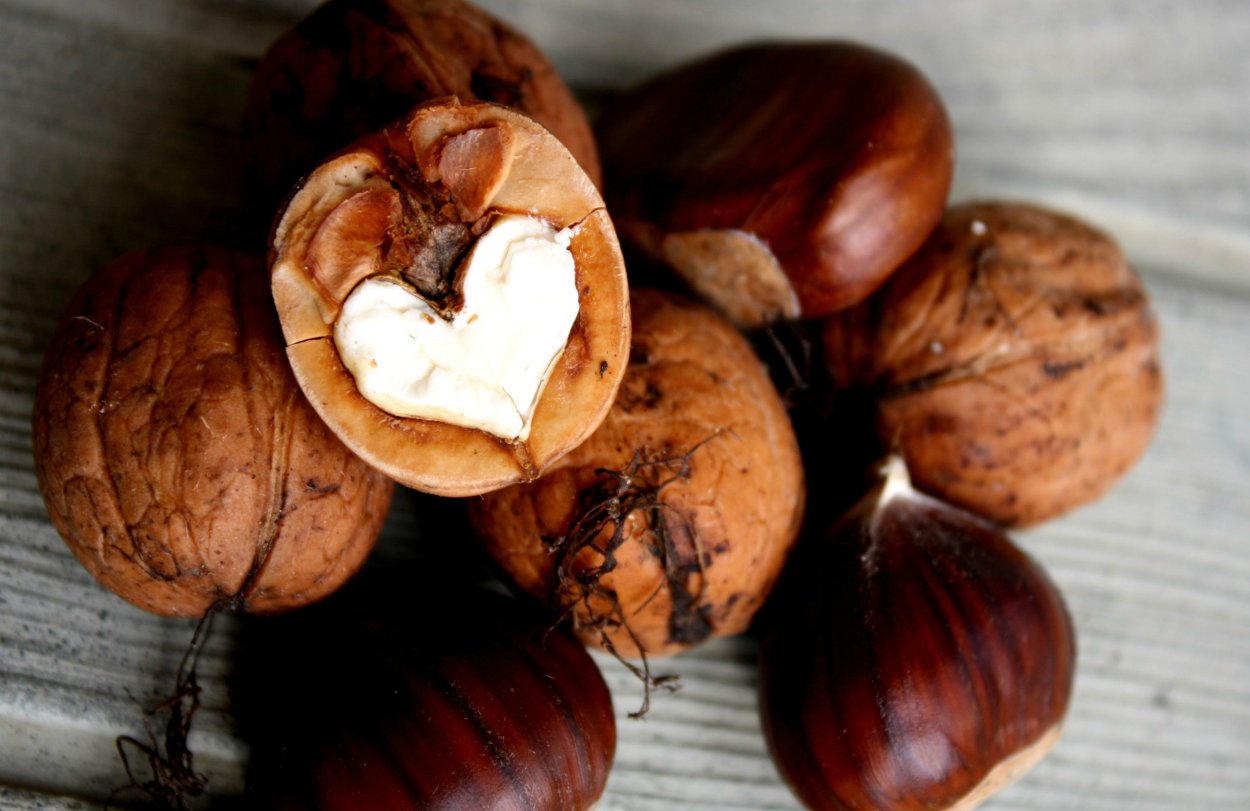 Chestnut орех