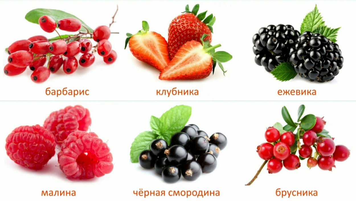 Ягоды с названиями для детей