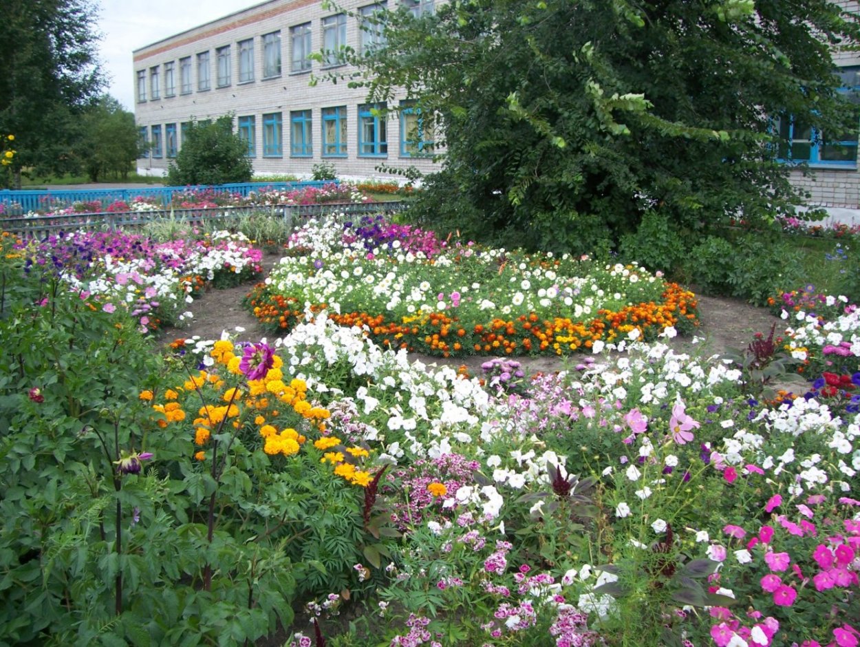 Станция Лесная Поляна Новосибирской области