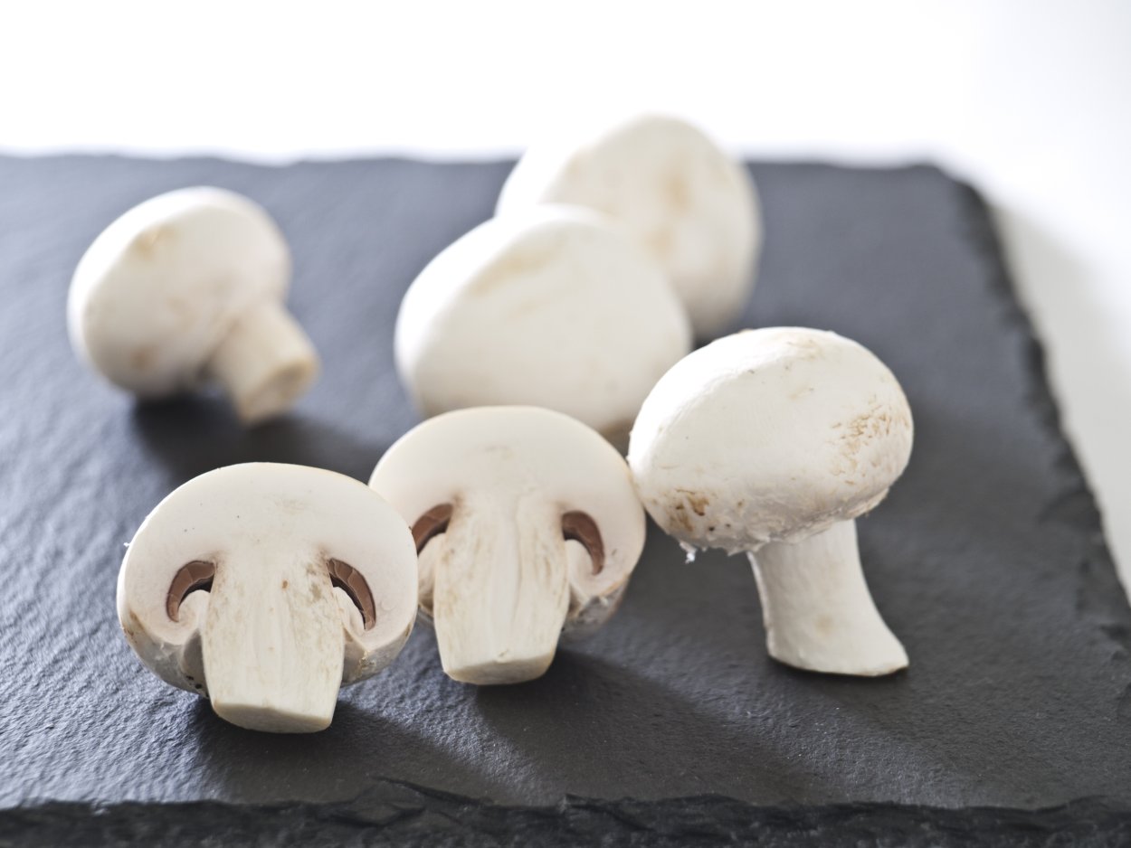 Champignons шампиньоны 3100