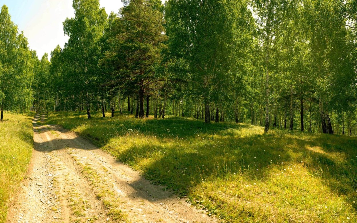 Битцевский лес Поляна