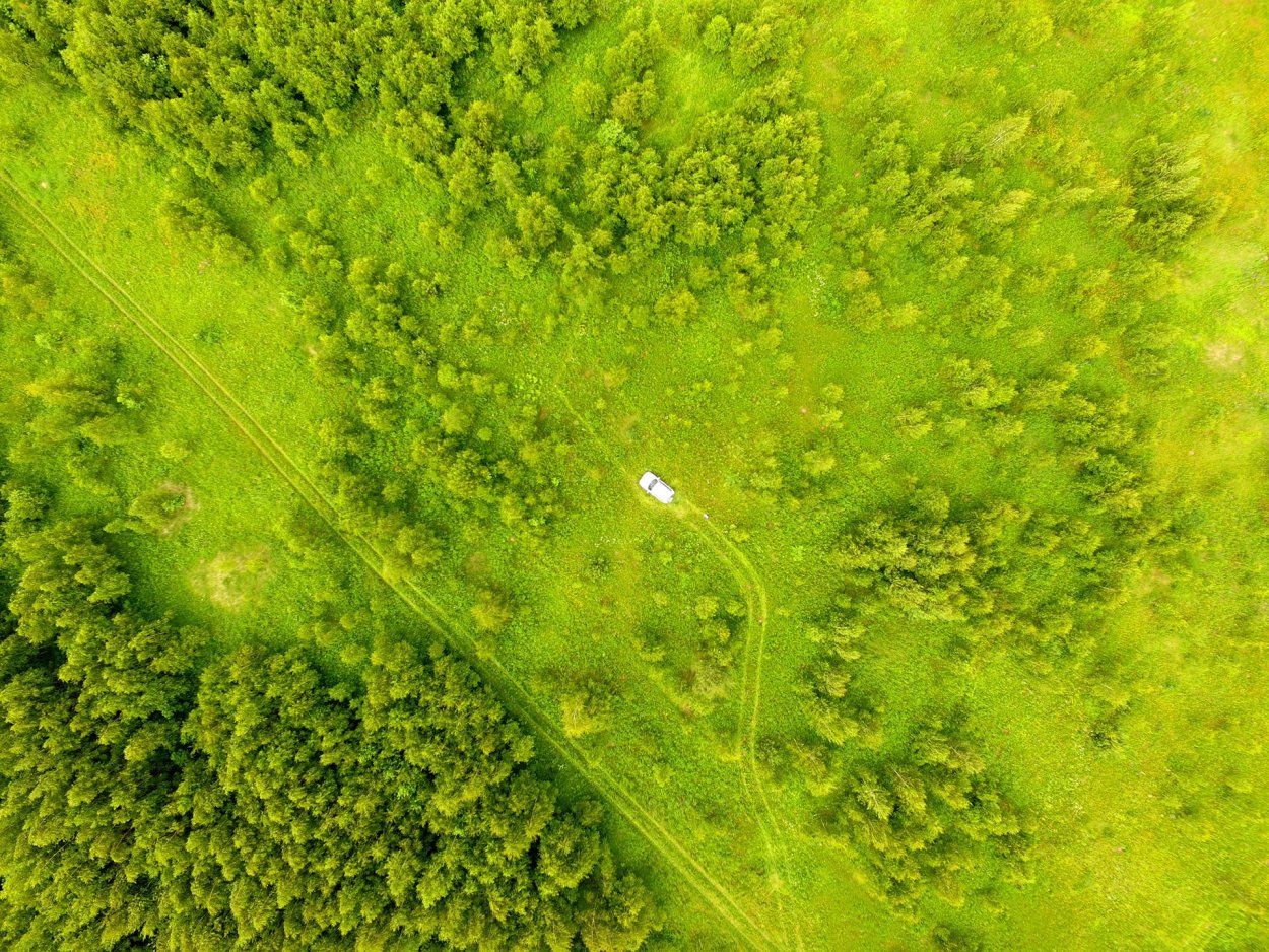 Лесная поляна вид сверху - 66 фото