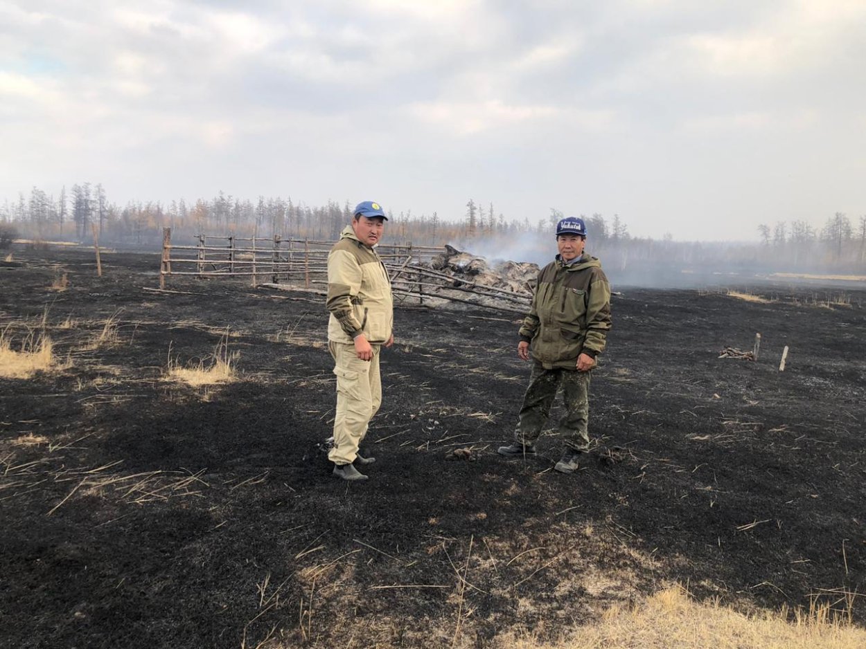 Собирательство грибов и ягод