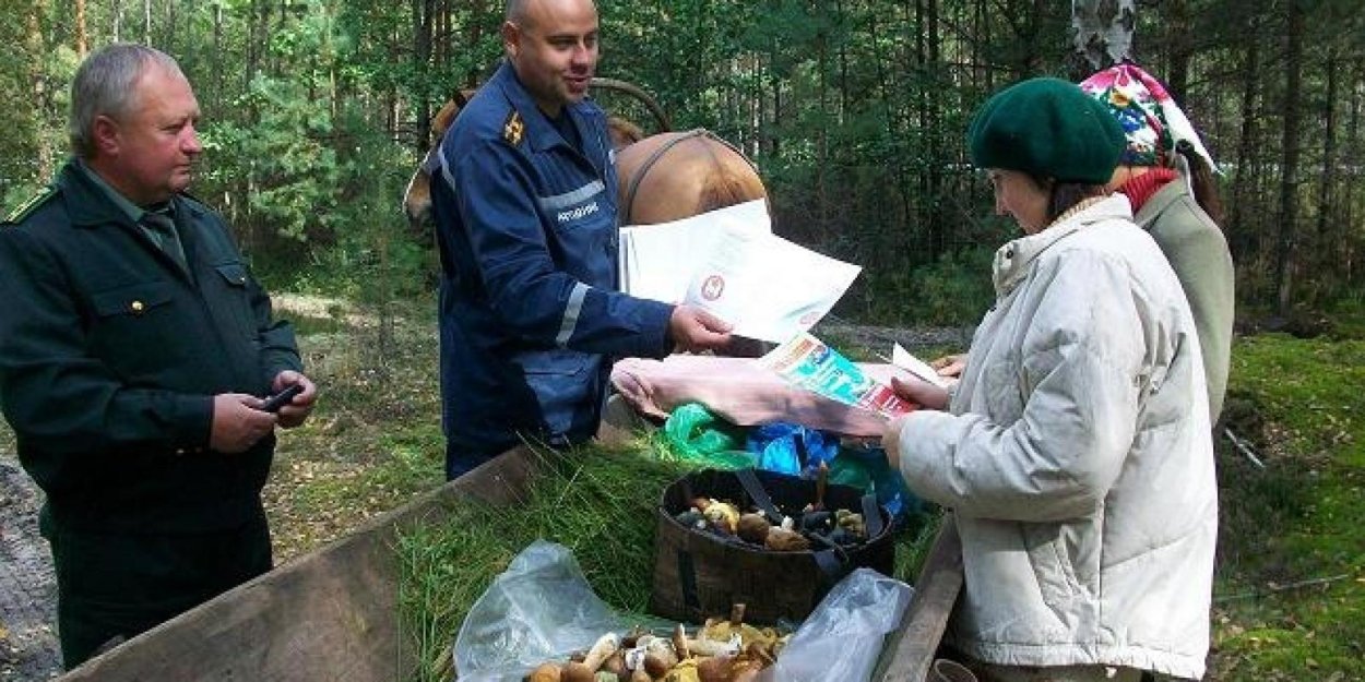 Белый гриб в Якутии