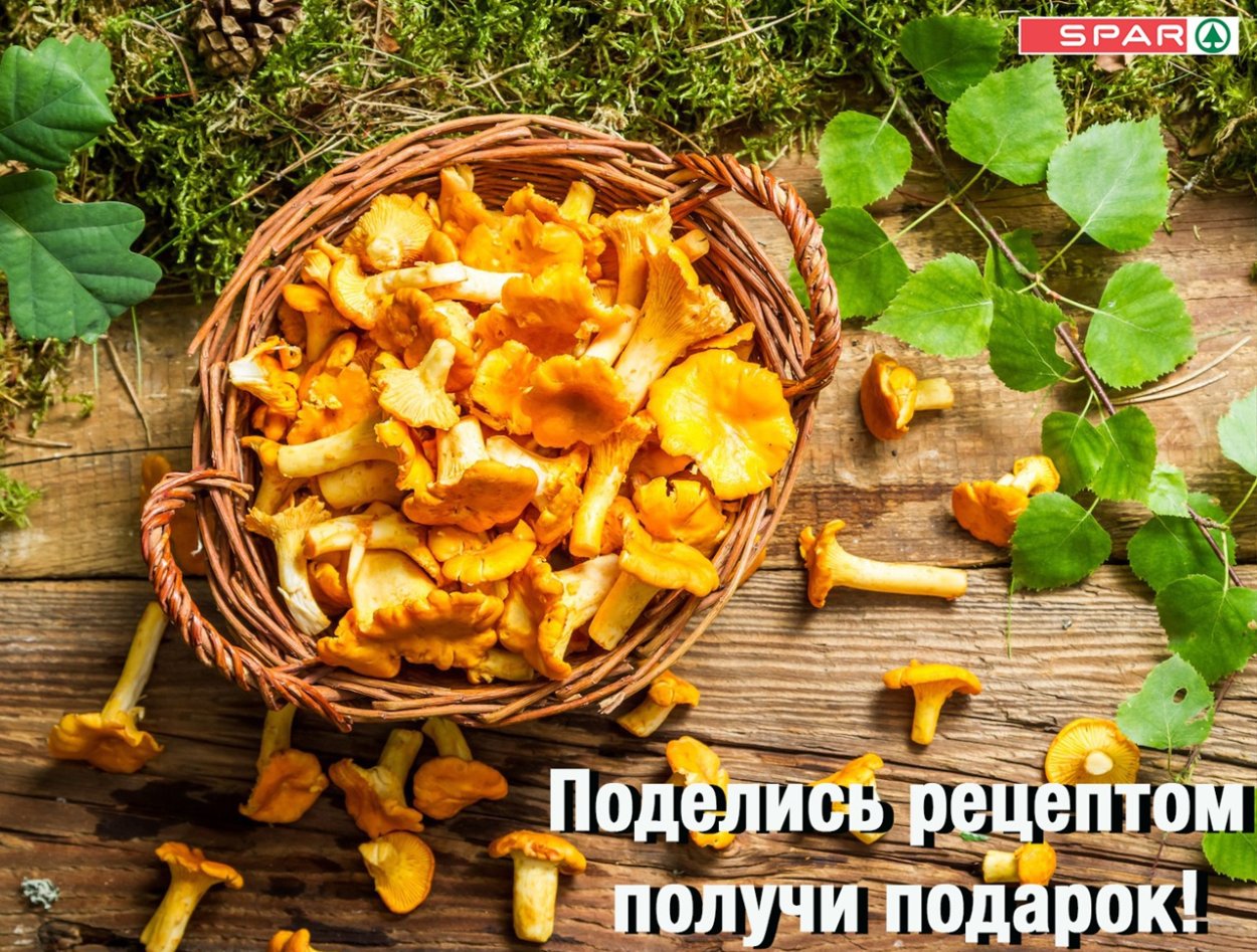 Лисички в корзинке